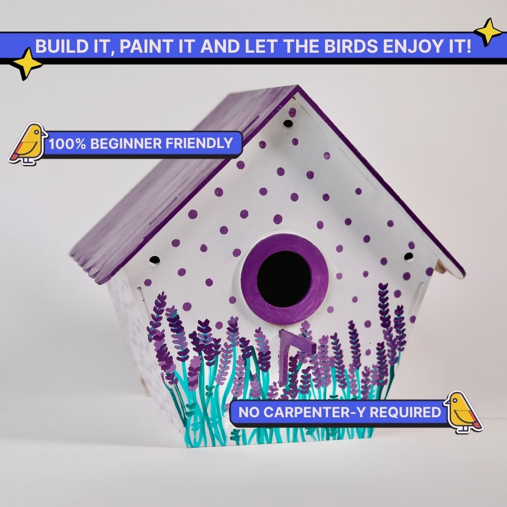 DIY Bird House Kit