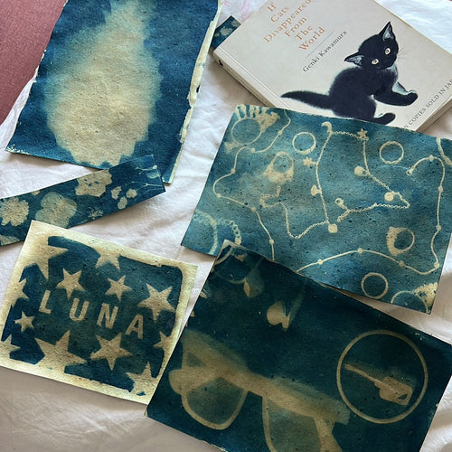 Kitsters Image 2