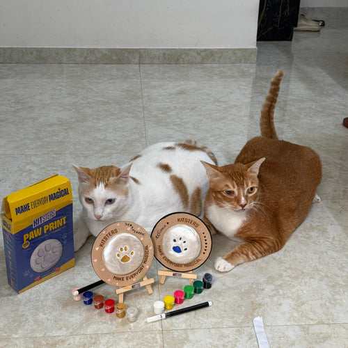 Kitsters Image 3