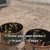 Grow In A Can | DIY Gardening Kits | Grow Your herbs | Kitsters