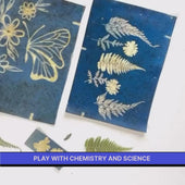 DIY Solar Printing Kit