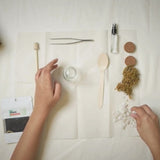 DIY Mini Terrarium Kit