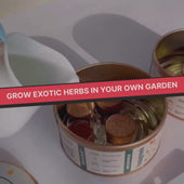 Grow in a Can - Oregano