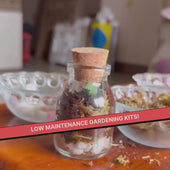 DIY Mini Terrarium Kit