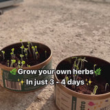 Grow in a Can - Fenugreek