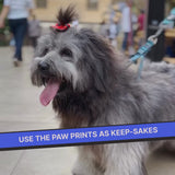 DIY Paw Printing Kit