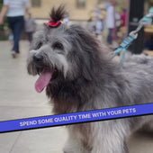 DIY Paw Printing Kit